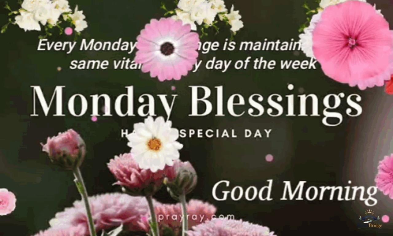Cute Monday Blessings with inspiring wishes, uplifting prayers, and positive messages to begin the week with happiness, hope, and gratitude.
